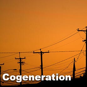 Cogeneration plant  control system